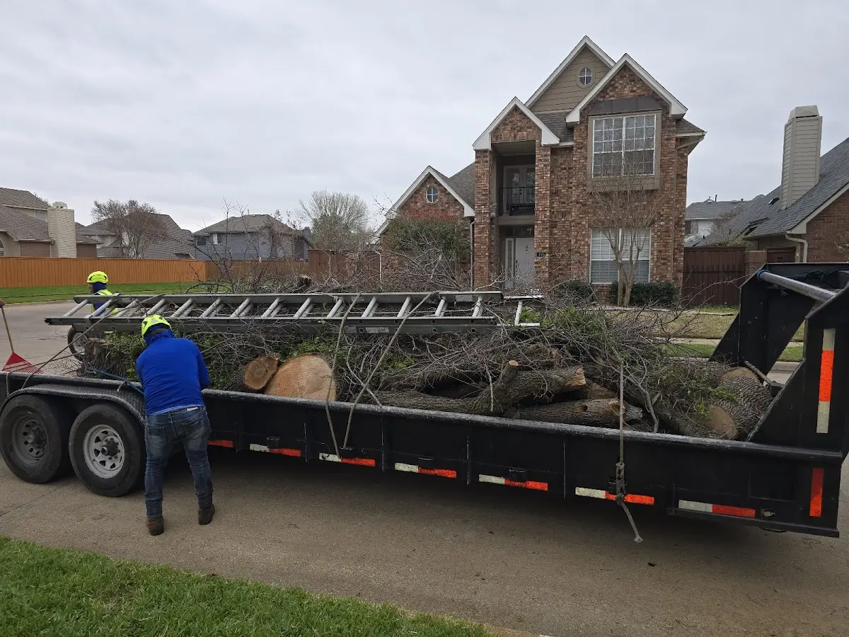 Expert Tree Pest Control with proper safety equipment in Topeka